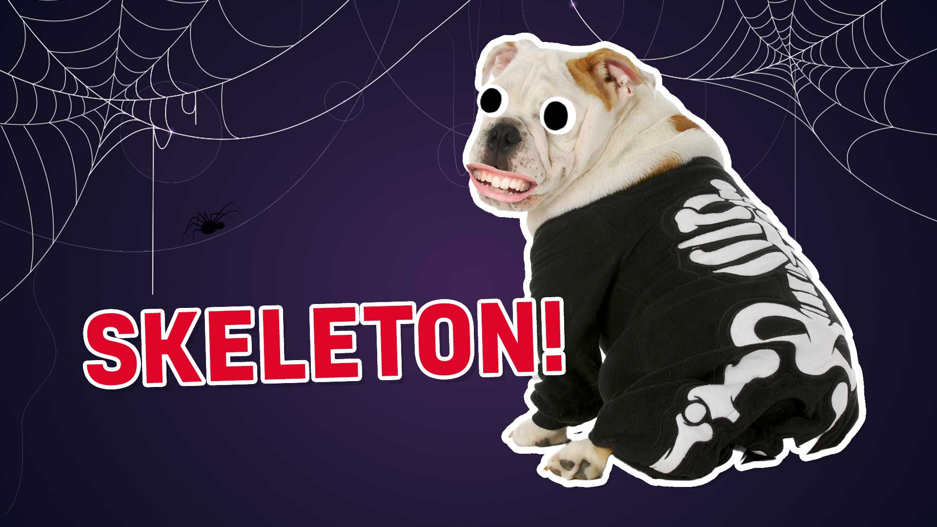 What Halloween Costume Should I Wear? Quiz