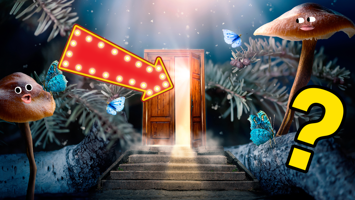 The Ultimate Movie Tagline Quiz Questions & Answers Beano